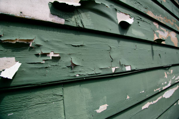 Best Garage Cleanout  in Beulaville, NC