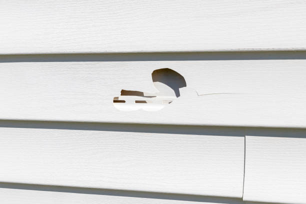 Best Same-Day Junk Removal Services  in Beulaville, NC